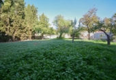 Городская земля под застройку на продажу у города Лос-Льянос Фото