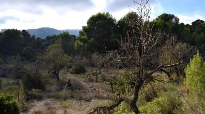 Alicante - Calpe - 11300m2