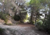 Non-developable land for sale on España, Calpe, ref: TR340255 photo