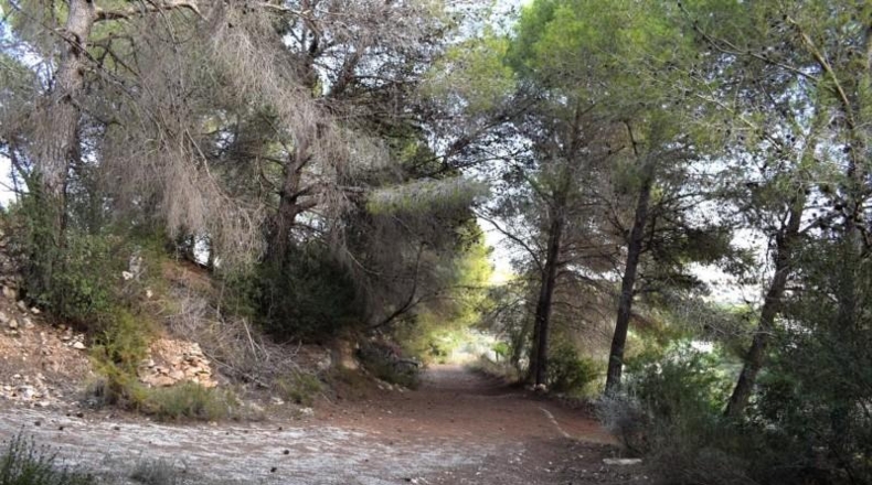 Alicante - Calpe - 11300m2