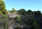Non-developable land for sale on España, Calpe, ref: TR340255 photo