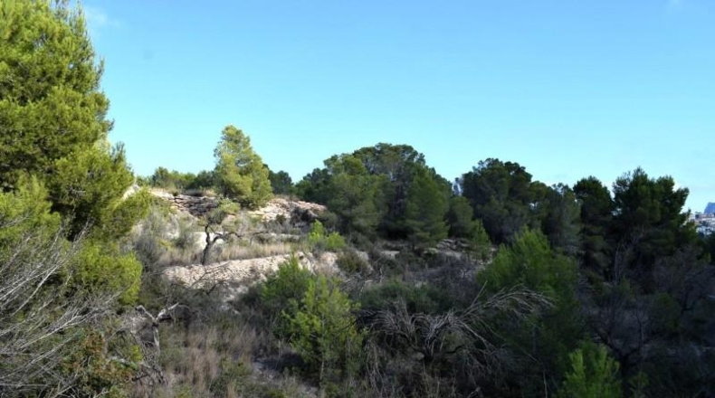 Alicante - Calpe - 11300m2