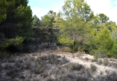 Non-developable land for sale on España, Calpe, ref: TR340255 photo