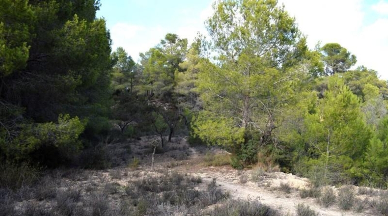 Alicante - Calpe - 11300m2