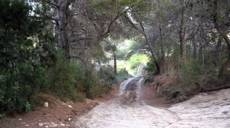 Alicante - Calpe - 11300m2