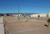 Sòl urbà en venda a la España, Àguiles, ref.: TR336740 foto