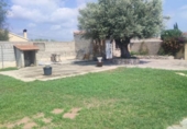 Xalet independent amb terreny en venda a la España, Benicarló, ref.: TR378679 foto