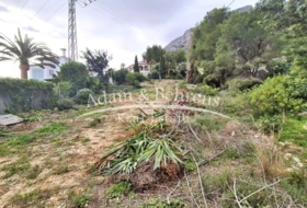 Foto 15