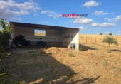 Casa amb terreny en venda a la España, Peñarroya-Pueblonuevo, ref.: TR352875 foto