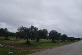 Puerto Serrano 28818&nbsp;м²