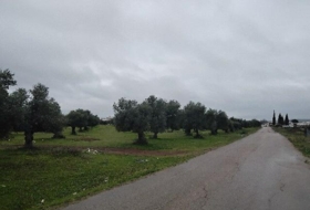Puerto Serrano 28818&nbsp;м²