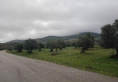Parcel·la urbanitzable en venda a la España, Puerto Serrano, ref.: TR316685 foto