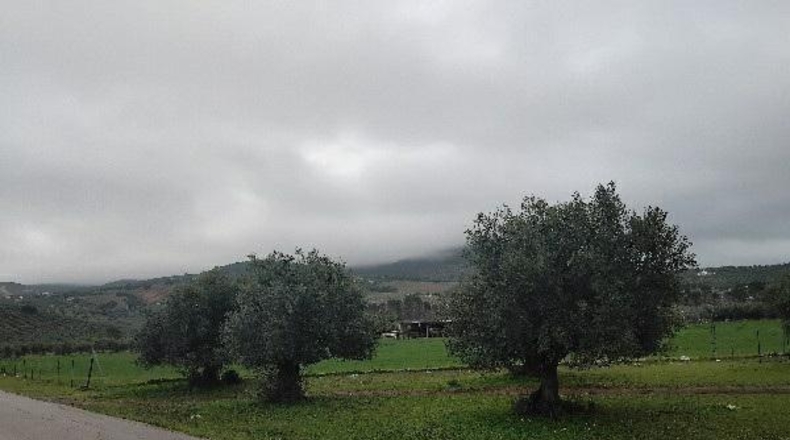 Cadiz - Puerto Serrano - 28818m2