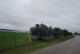 Puerto Serrano 28818&nbsp;м²