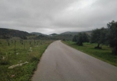 Parcel·la urbanitzable en venda a la España, Puerto Serrano, ref.: TR316685 foto