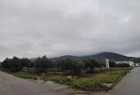 Puerto Serrano 28818&nbsp;м²