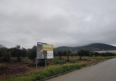 Parcel·la urbanitzable en venda a la España, Puerto Serrano, ref.: TR316685 foto