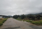 Parcel·la urbanitzable en venda a la España, Puerto Serrano, ref.: TR316685 foto