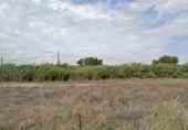 Terreny no urbanitzable en venda a la España, Villamartín, ref.: TR339715 foto