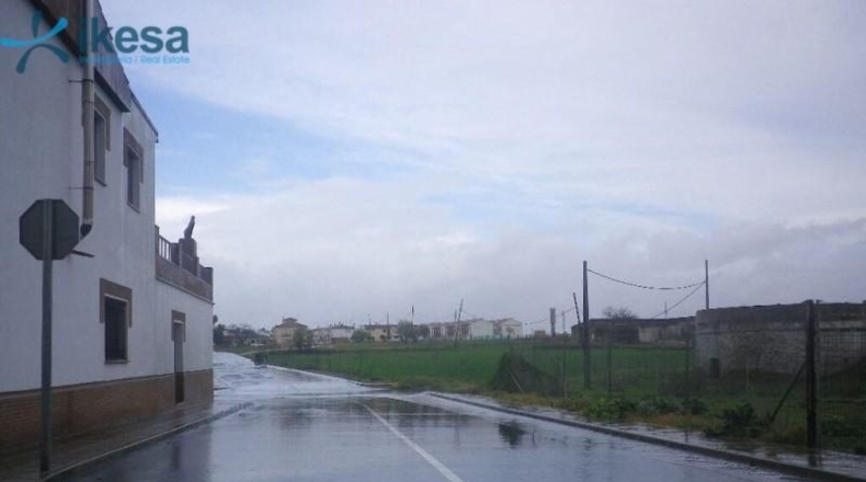 Huelva - San Bartolomé de la Torre - 11782m2