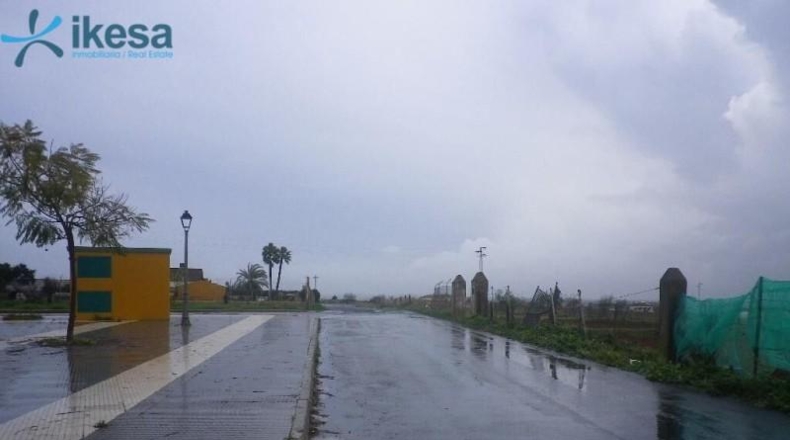 Huelva - San Bartolomé de la Torre - 11782m2