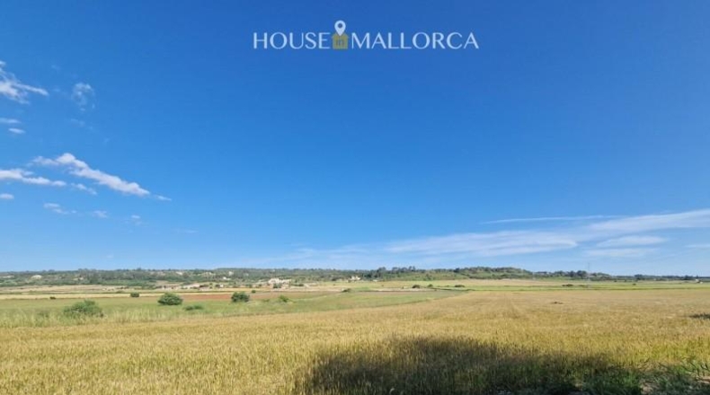 Illes Balears - Ariany - 50m2