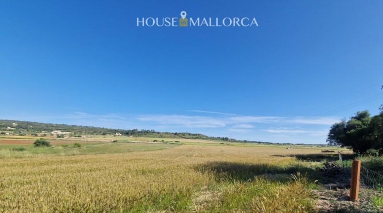 Illes Balears - Ariany - 50m2