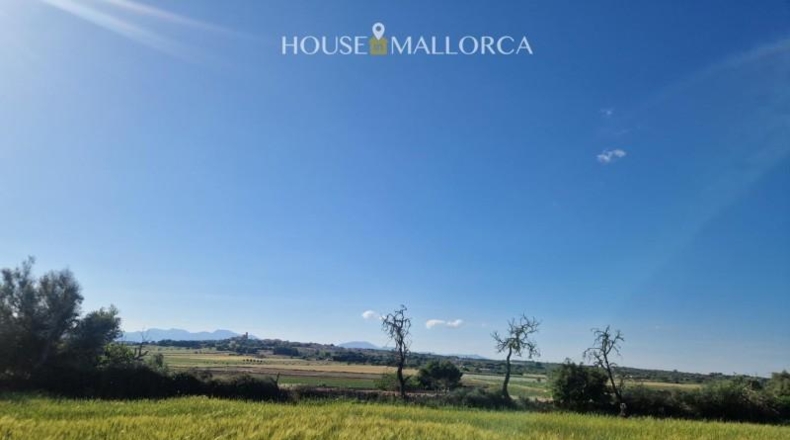 Illes Balears - Ariany - 50m2