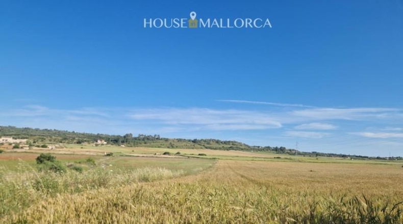 Illes Balears - Ariany - 50m2