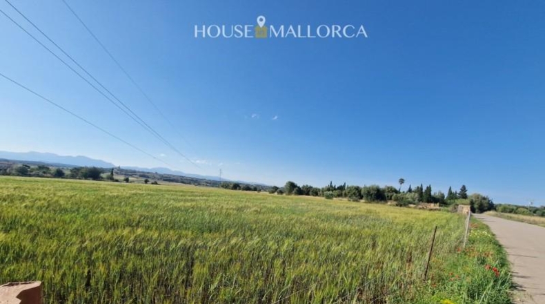 Illes Balears - Ariany - 50m2