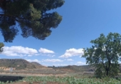 Casa de camp amb terreny en venda a la España, Iecla, ref.: TR336465 foto