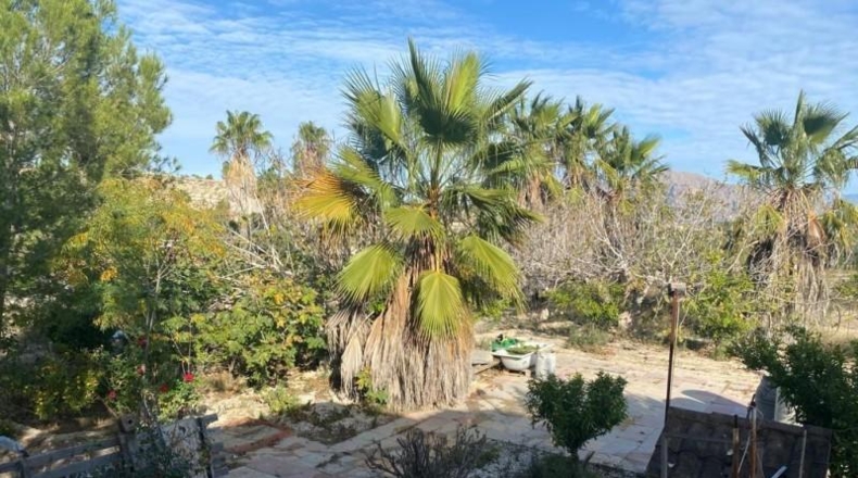Alicante - Bigastre - 6552m2