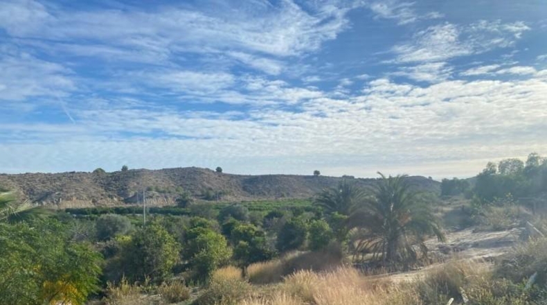 Alicante - Bigastre - 6552m2