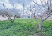 Urban land for sale on España, Gabia Grande, ref: TR223963 photo
