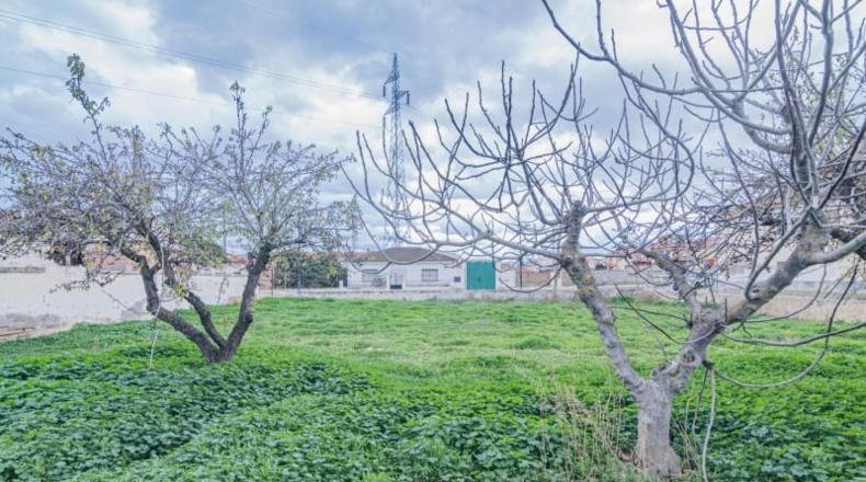 Granada - Los Llanos - 785m2
