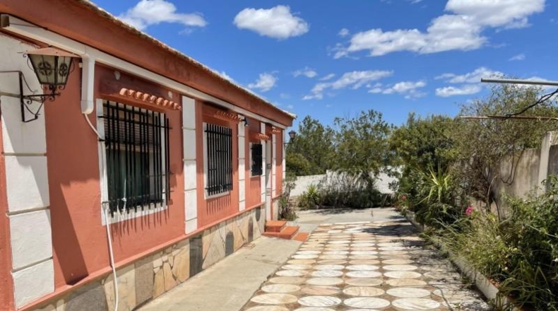 Valencia - Villamarchante - 927m2