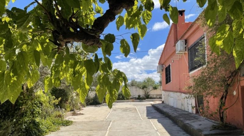 Valencia - Villamarchante - 927m2