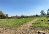Chalet independiente con terreno en venta en la España, Palencia, ref: TR371783 foto