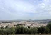 Casa de camp amb terreny en venda a la España, Antequera, ref.: TR224174 foto