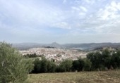 Casa de camp amb terreny en venda a la España, Antequera, ref.: TR224174 foto