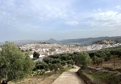 Casa de camp amb terreny en venda a la España, Antequera, ref.: TR224174 foto