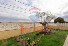 Revellinos 6500&nbsp;m² 