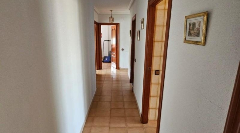 Murcia - Murcia - 380m2