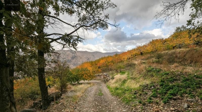 Granada - Güéjar Sierra - 44063m2