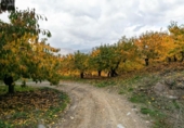 Non-developable land for sale on España, Güéjar Sierra, ref: TR236300 photo
