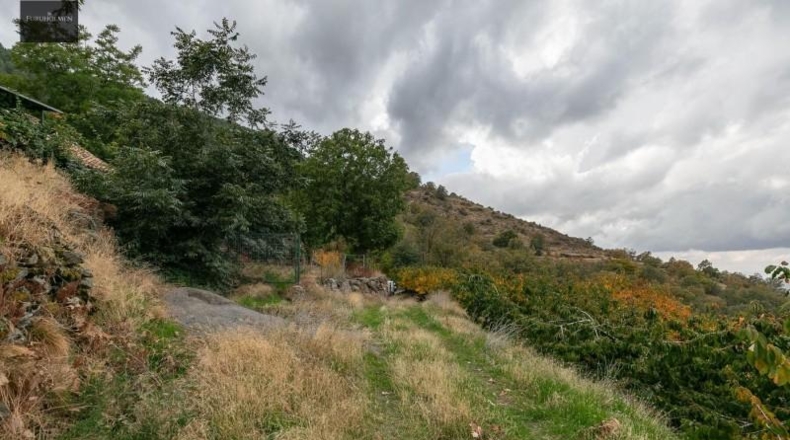 Granada - Güéjar Sierra - 44063m2