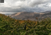 Non-developable land for sale on España, Güéjar Sierra, ref: TR236300 photo