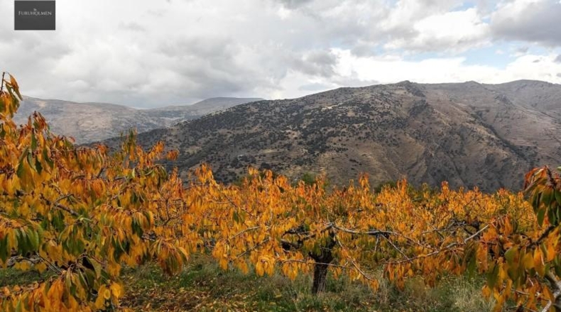 Granada - Güéjar Sierra - 44063m2