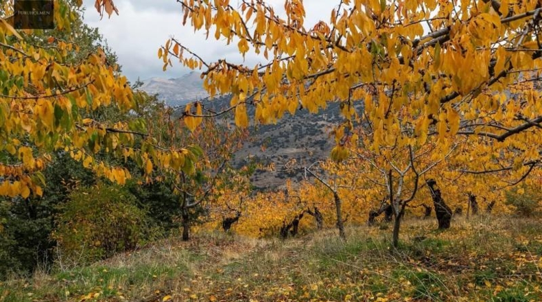 Granada - Güéjar Sierra - 44063m2