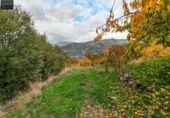 Non-developable land for sale on España, Güéjar Sierra, ref: TR236300 photo